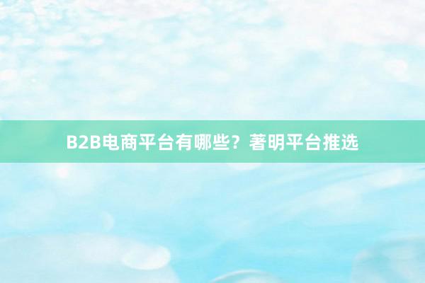 B2B电商平台有哪些?著明平台推选