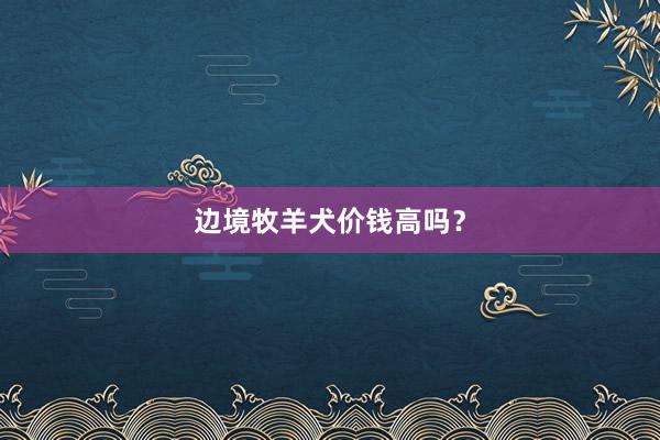 边境牧羊犬价钱高吗？
