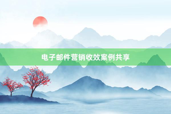电子邮件营销收效案例共享
